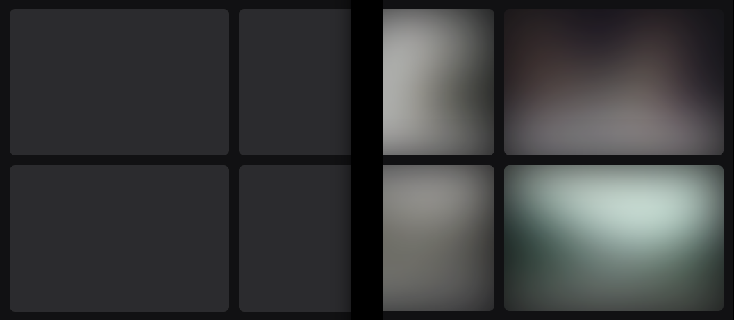 Blurred LQIP placeholders Vs Skeletons